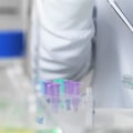 Diagnostic Testing and Evaluations